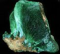 Silky, Fibrous Malachite Crystals - Morocco #42081-1